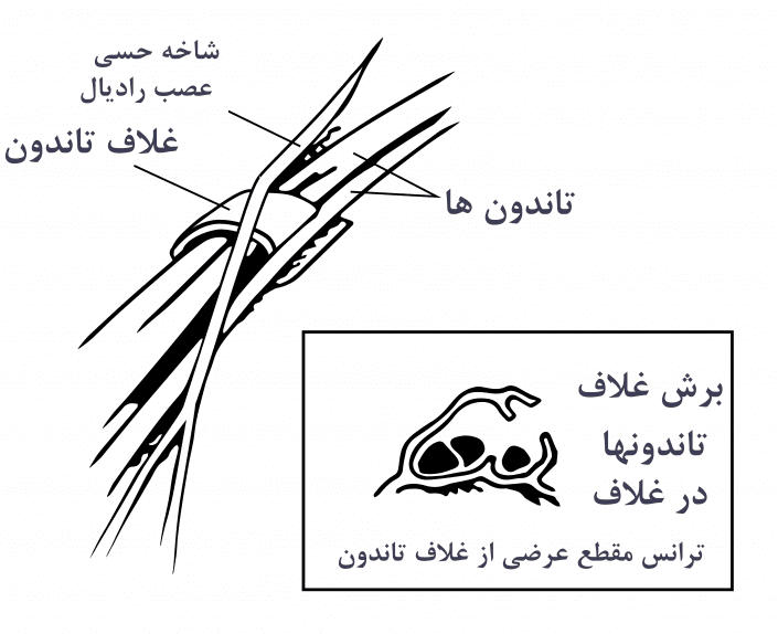 a00007f03-kh a00007f03-kh.png