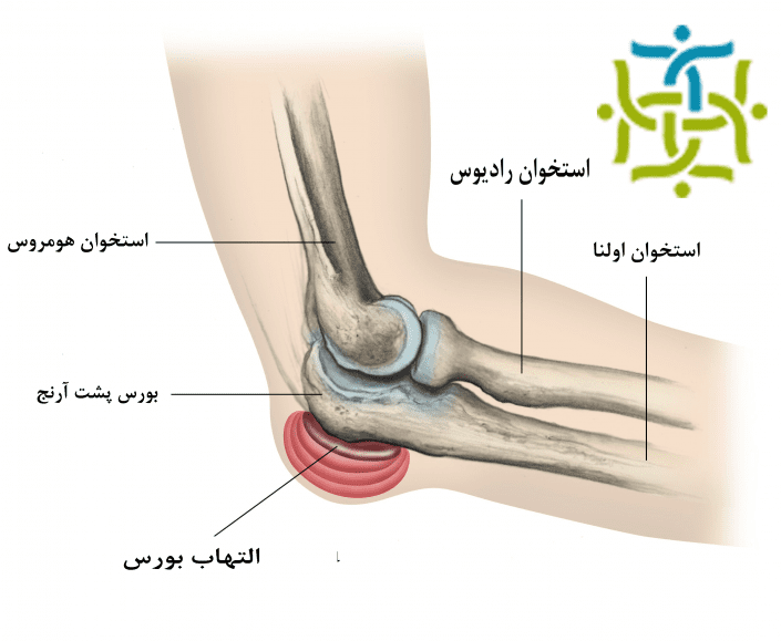 compr_elbow_01-_bodyalmanac2003.-ab-edit_kh compr_elbow_01-_bodyalmanac2003.-ab-edit_kh