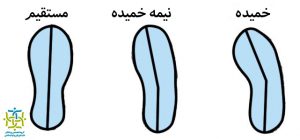 انواع کفی کفش