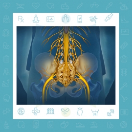 سندرم دم اسب