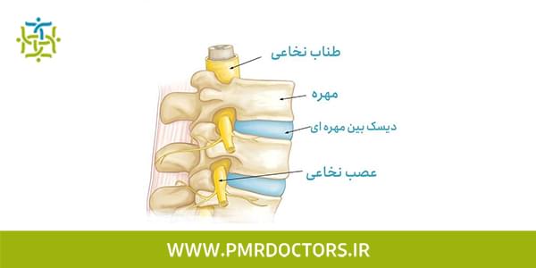 درمان عصب تحت فشار