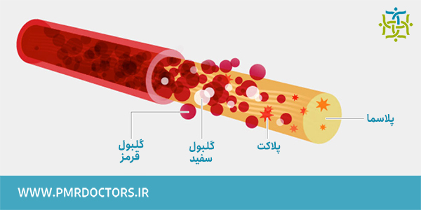 پی آر پی چیست؟ خون ما از گلبول های قرمز، گلبول های سفید، پلاکت ها و پلاسما تشکیل شده است. 
