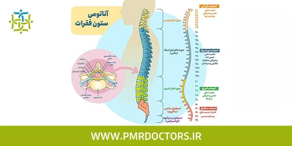 تاثیر اب درمانی در دیسک کمر